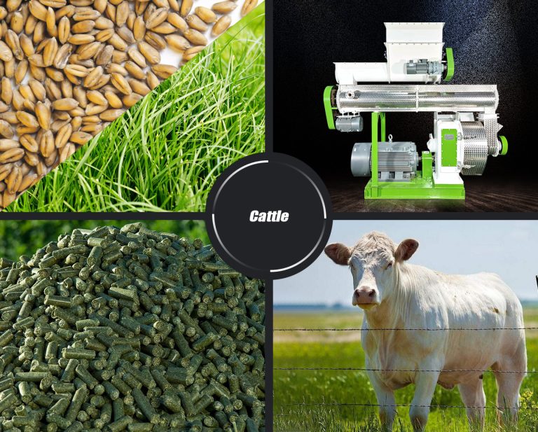 alfalfa feed pellet machine