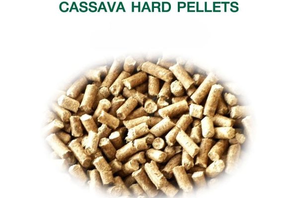 use of cassava in poultry feed